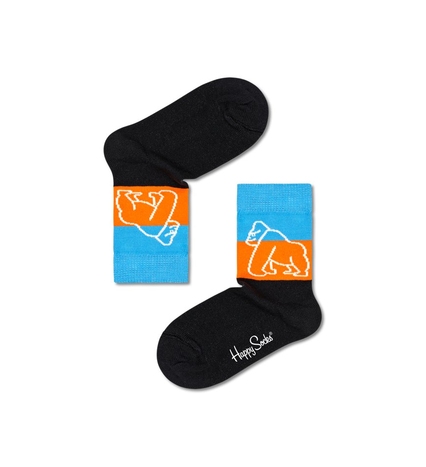 Gift Set Happy Socks WWF 4-Pack | GDH-7724353